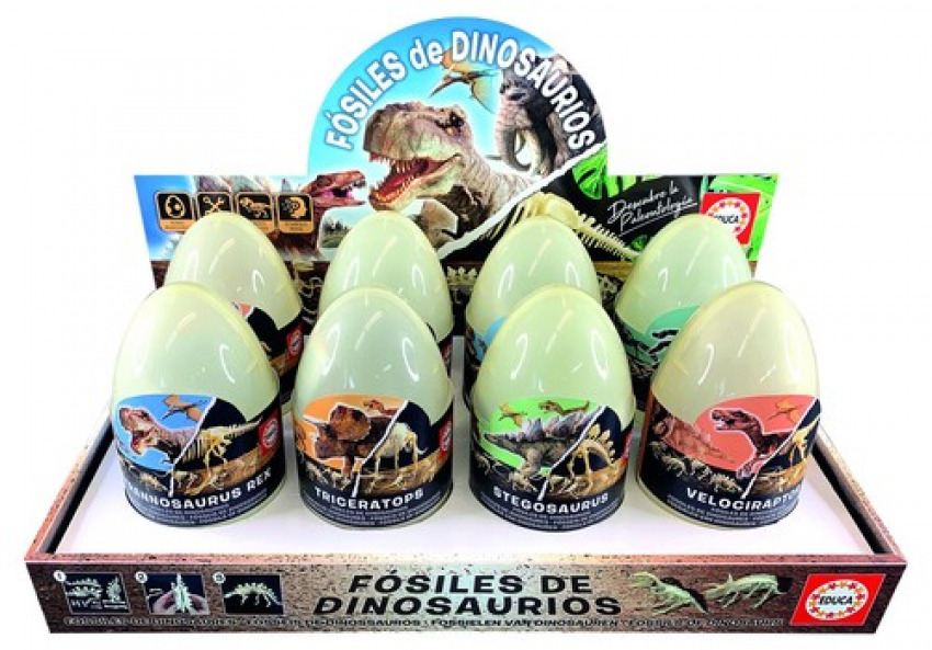EXP 8 UNITATS DE FOSILES DINOSAURIOS
