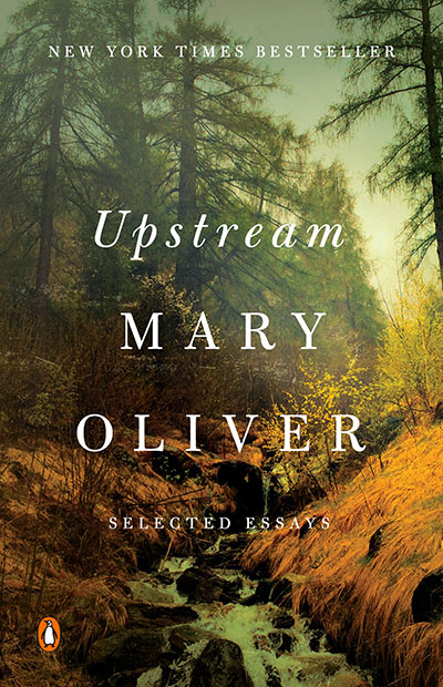UPSTREAM