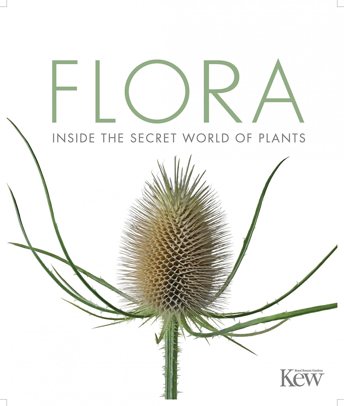 Flora:inside the secret world of plants
