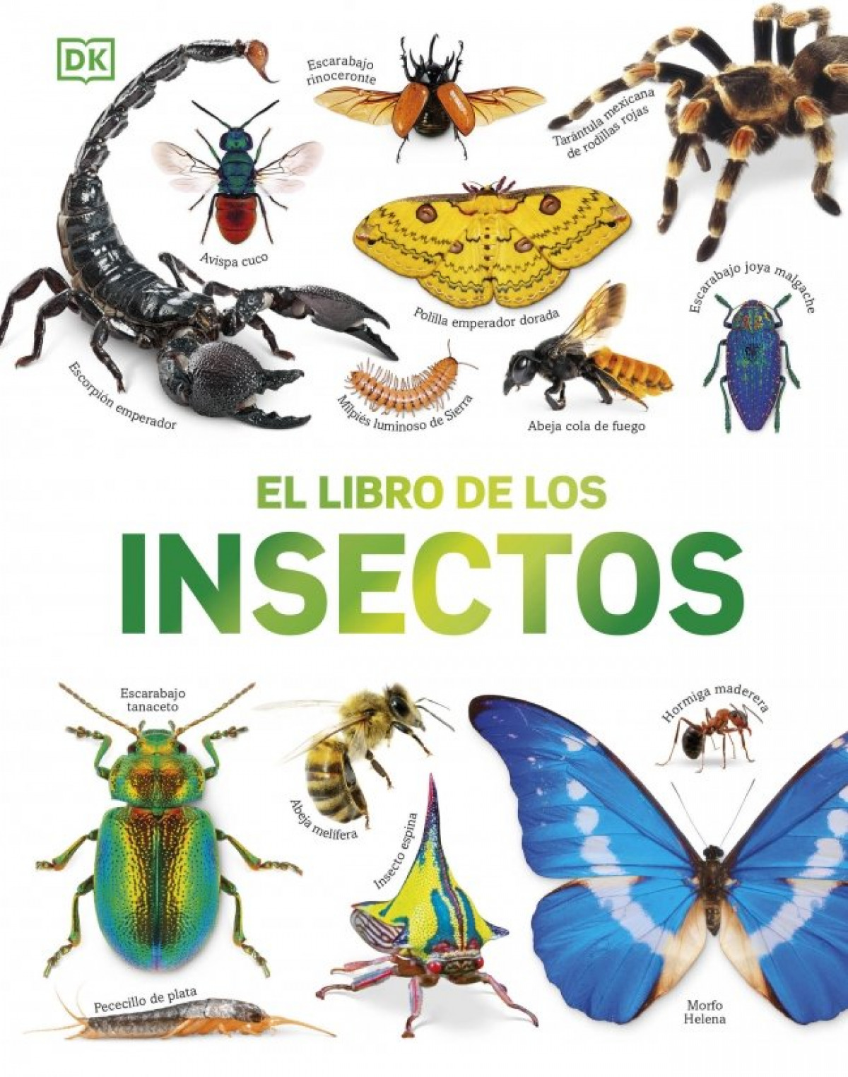 el libro de los insectos
