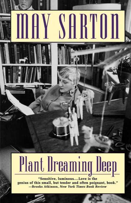 PLANT DREAMING DEEP