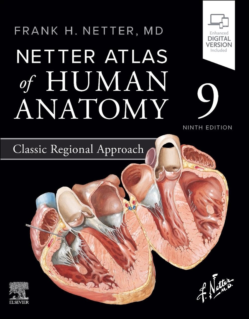 Netter atlas of human anatomy:classic regional approach/9th