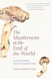 The Mushroom at the End of the World : On the Possibility of Life in Capitalist