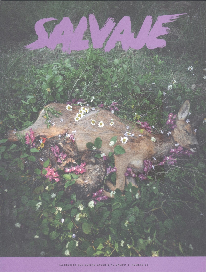 REVISTA SALVAJE 26