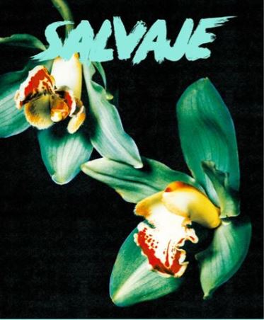 Revista salvaje 28