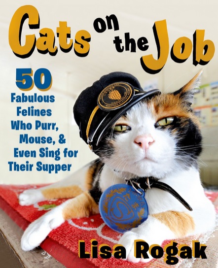 CATS ON THE JOB