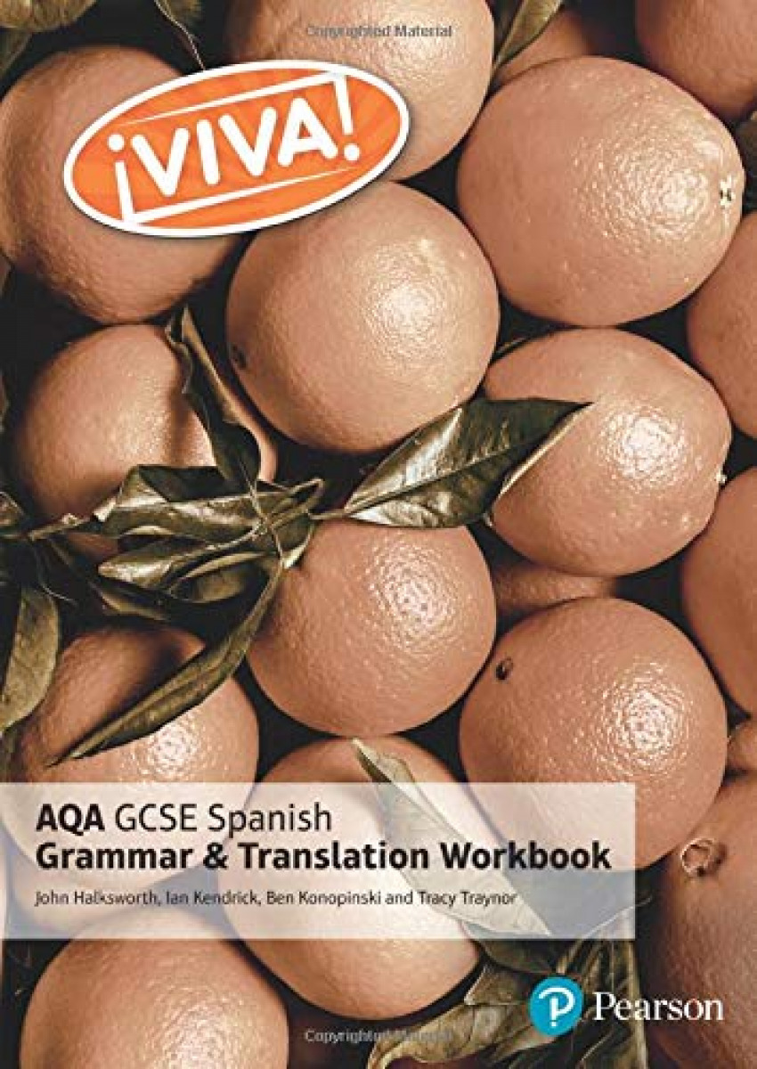 VIVA! AQA GCSE SPANISH GRAMMAR AND TRANSLATION WORKBOOK