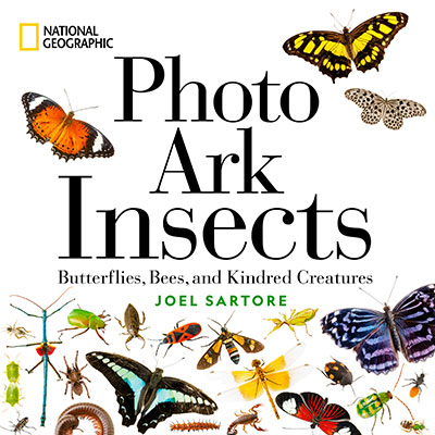 NATIONAL GEOGRAPHIC PHOTO ARK INSECTS