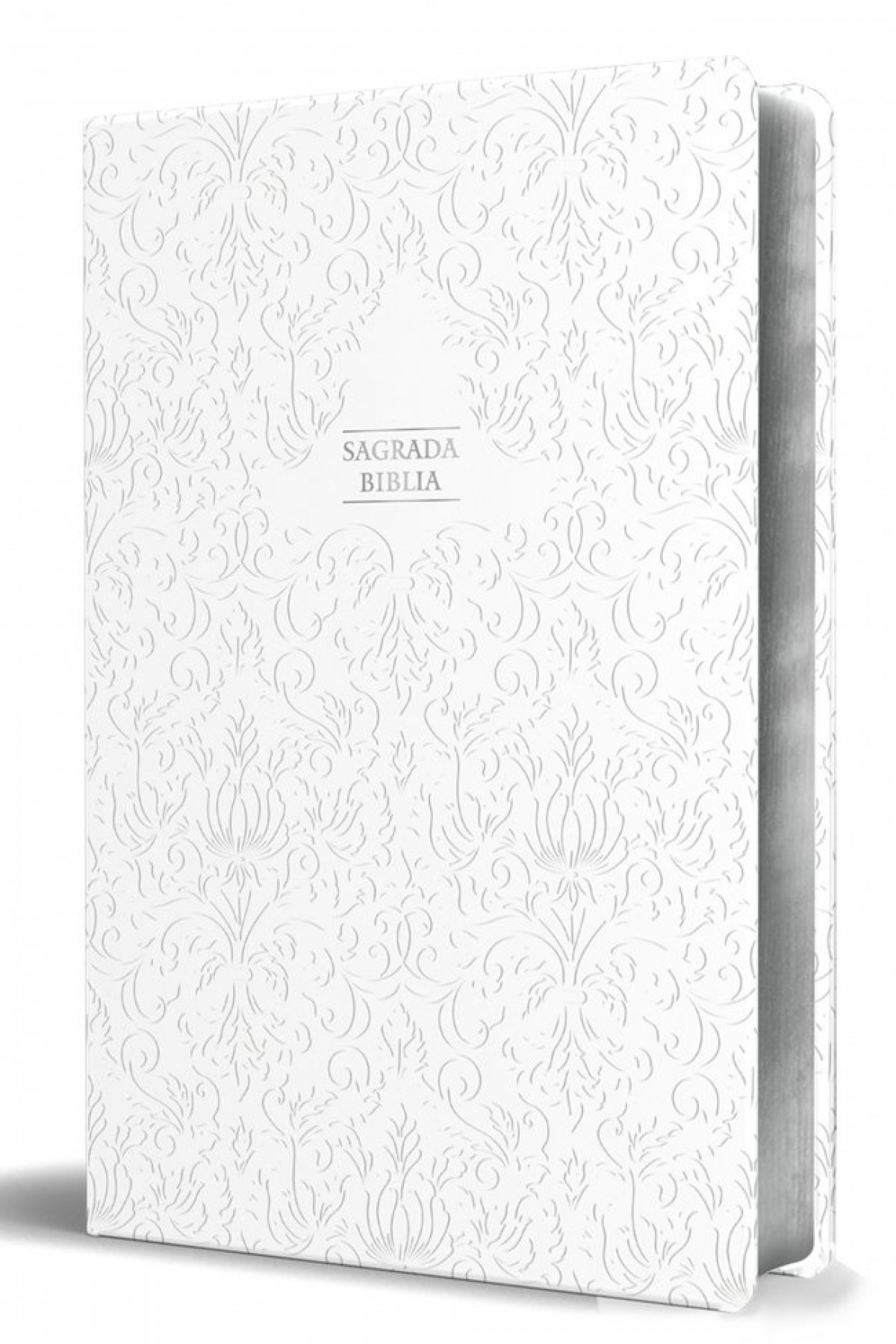 Biblia cat�lica LT GRD HC Virgen.Tapa dura,Piel labrado