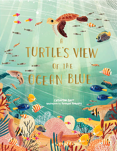 A Turtle's View of the Ocean Blue