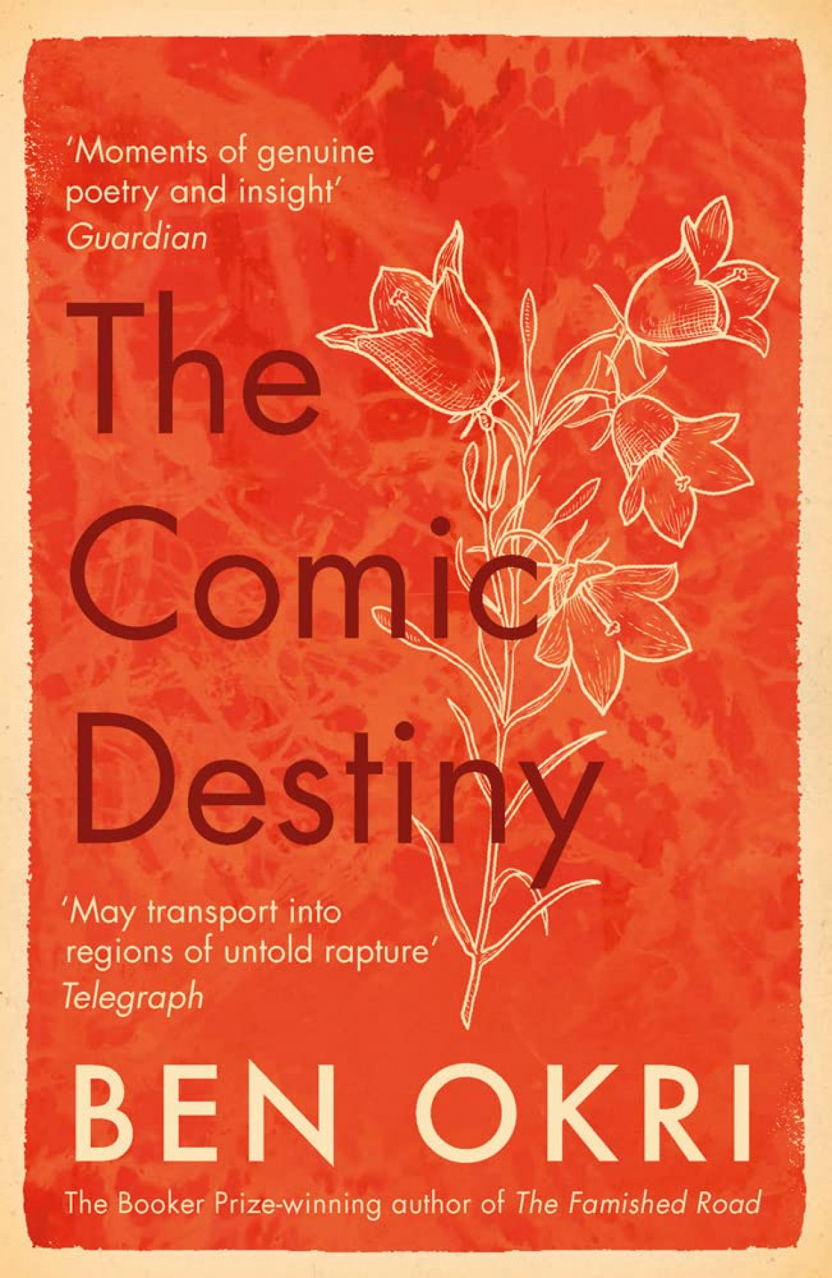 THE COMIC DESTINY
