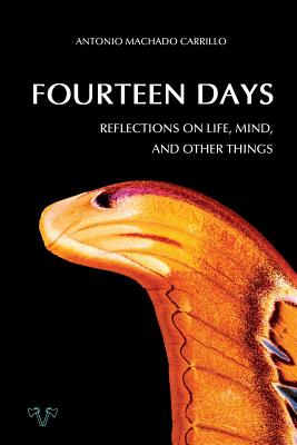 FOURTEEN DAYS: REFLECTIONS OF LIFE