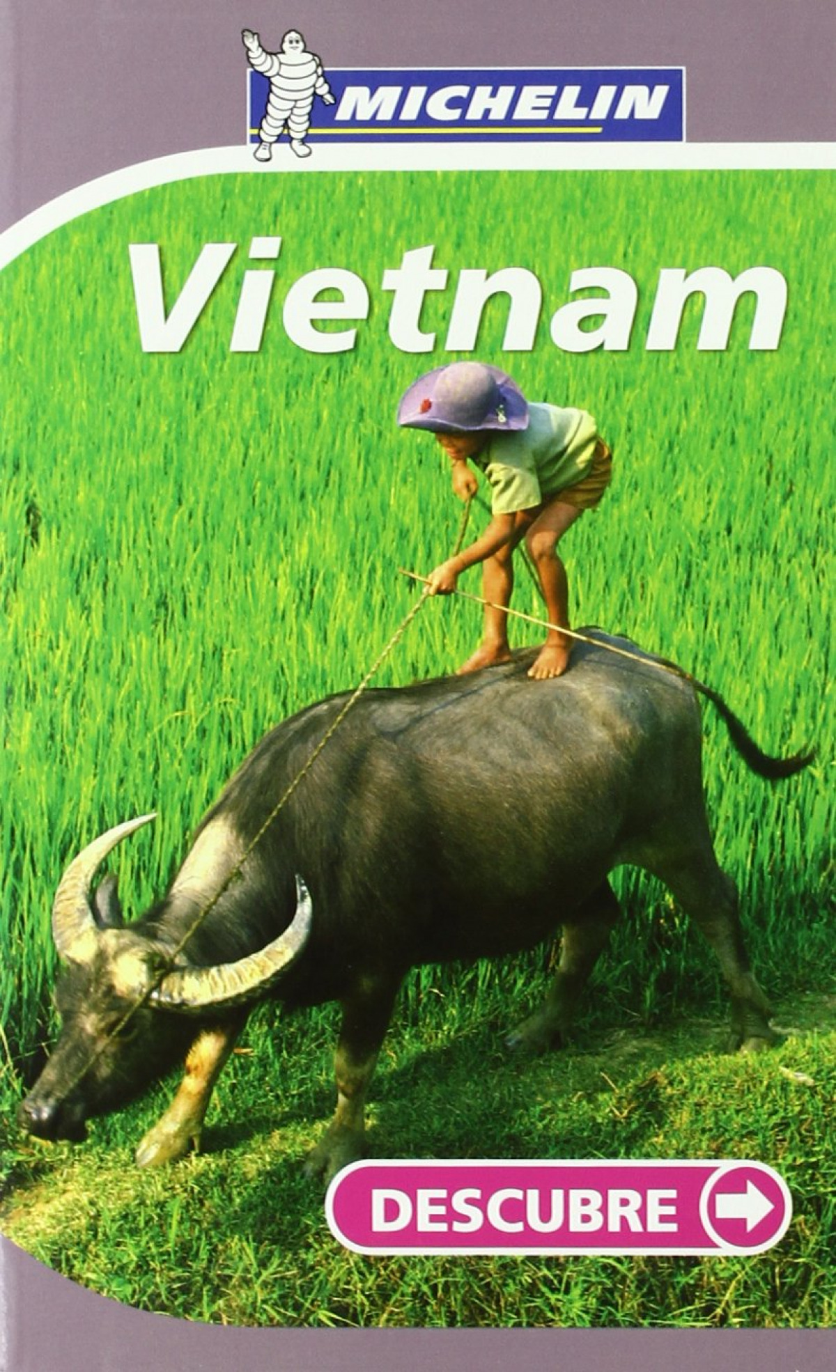 Vietnam. Descubre - Aa.Vv.