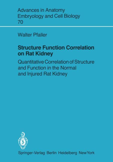 STRUCTURE FUNCTION CORRELATION ON RAT KIDNEY
