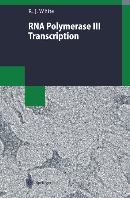 RNA Polymerase III Transcription