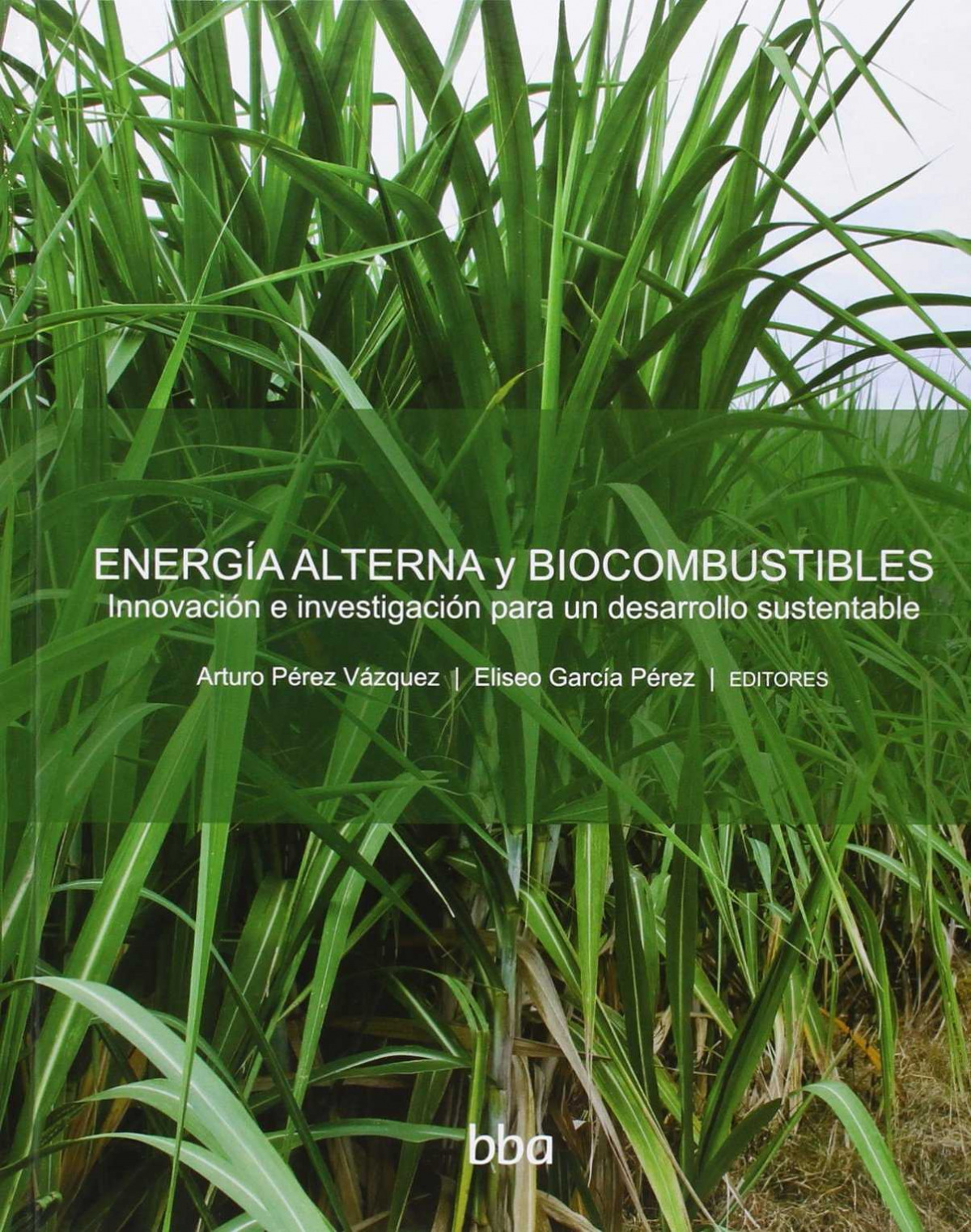 Energia alterna y biocombustibles - Perez Vazquez