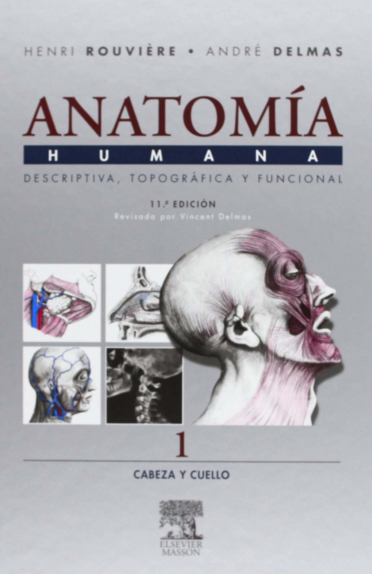 Anatomía humana.(4 tomos) Cabeza y cuello/Tronco/Miembros/Sistema nerv - Rouviere, Henri/Delmas, André