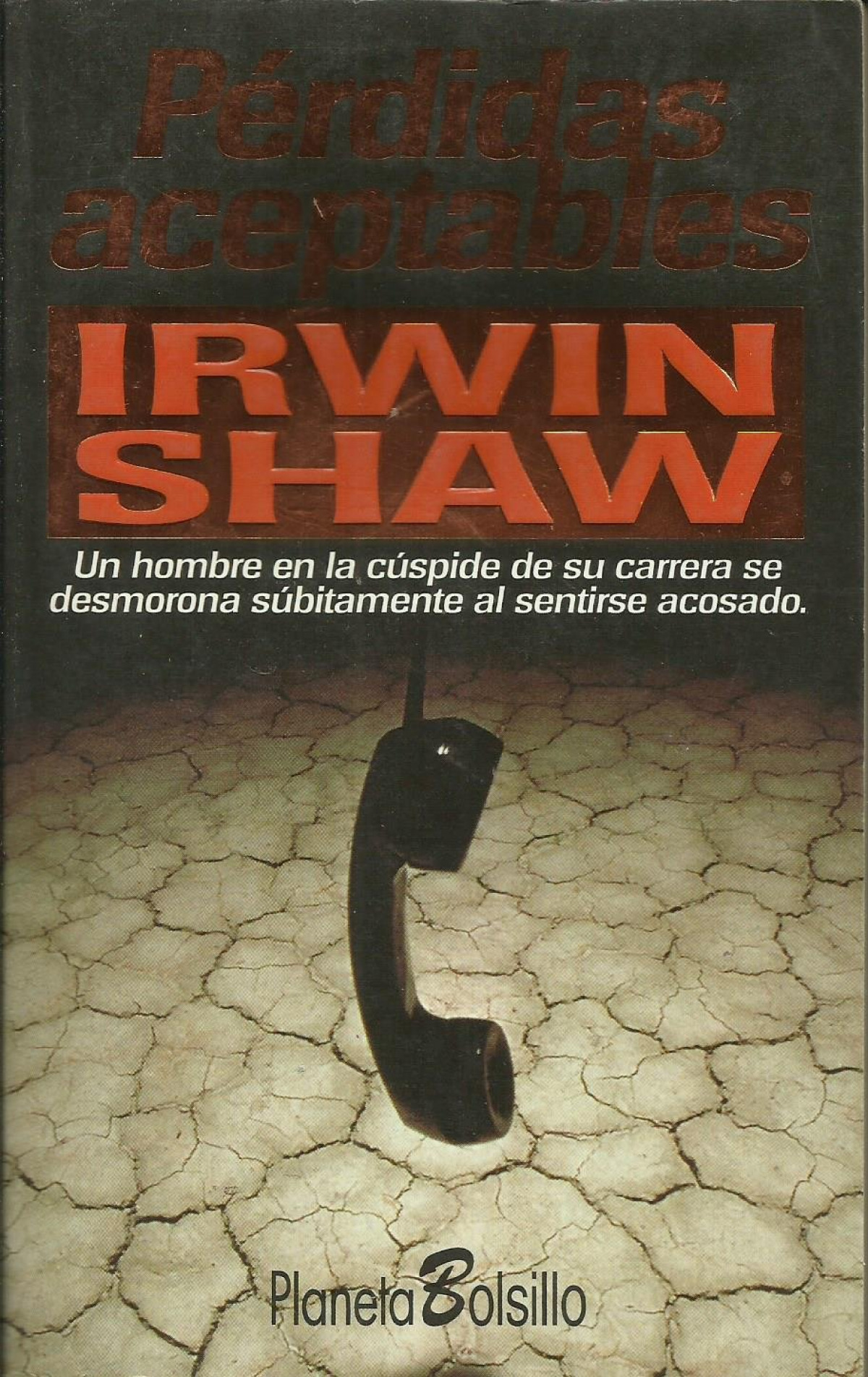Pérdidas aceptables - Shaw, Irwin