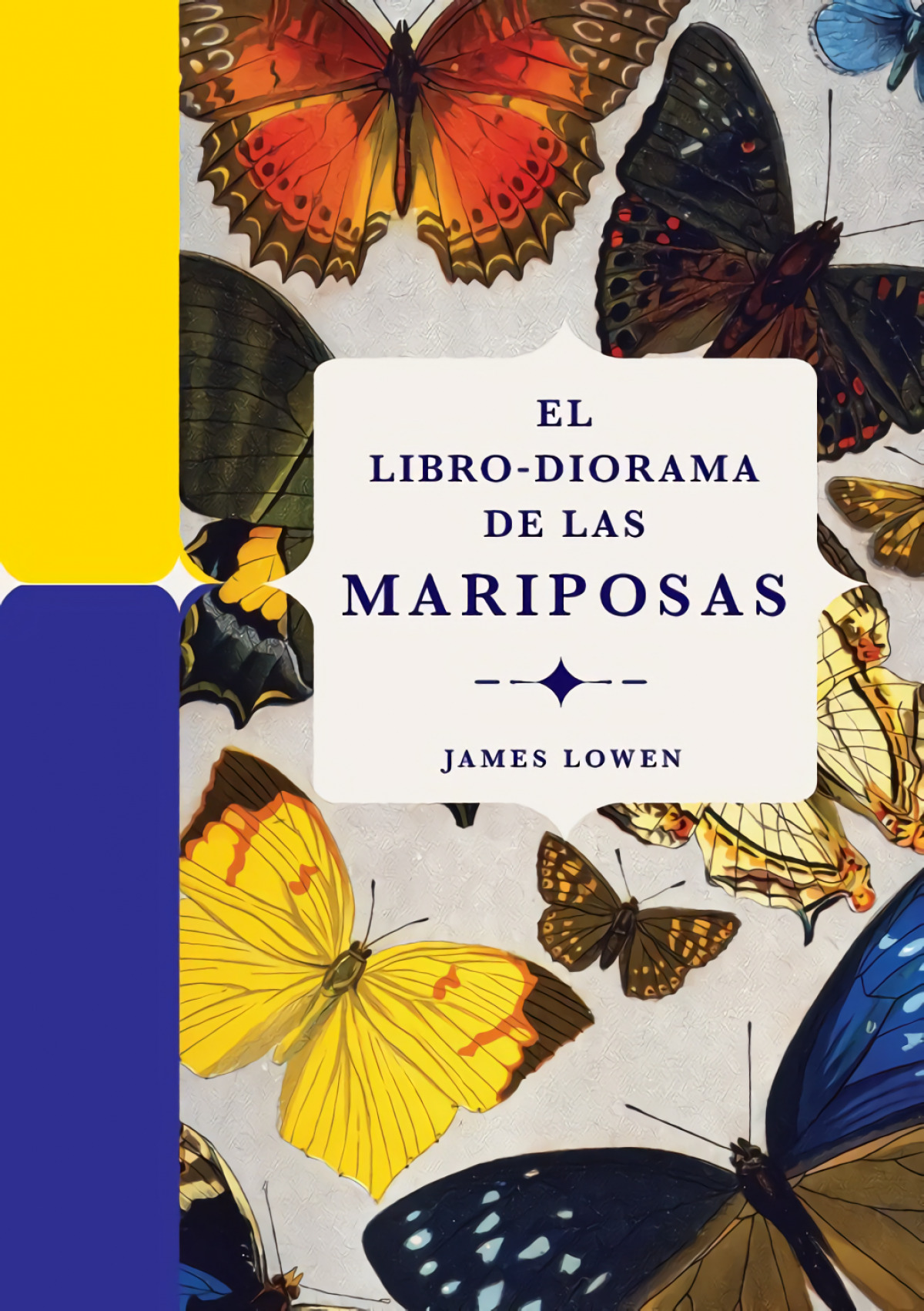 El libro-diorama de las mariposas
