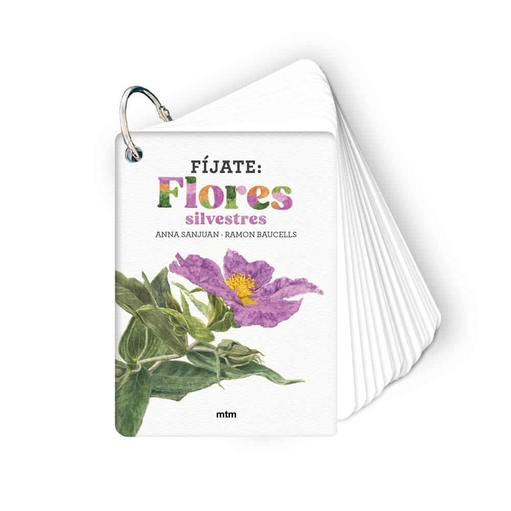 F�jate: flores silvestres