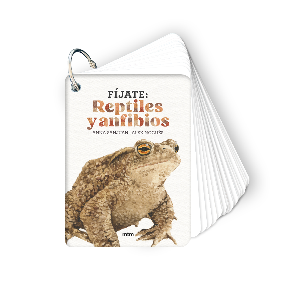 F�jate: reptiles y anfibios