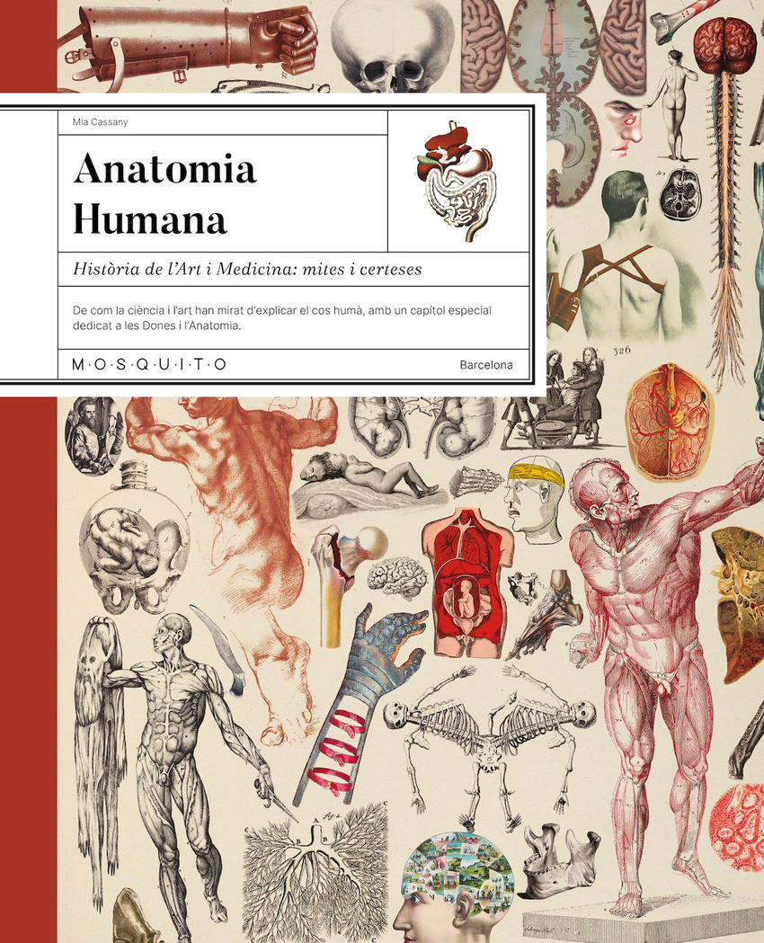 Anatomia humana