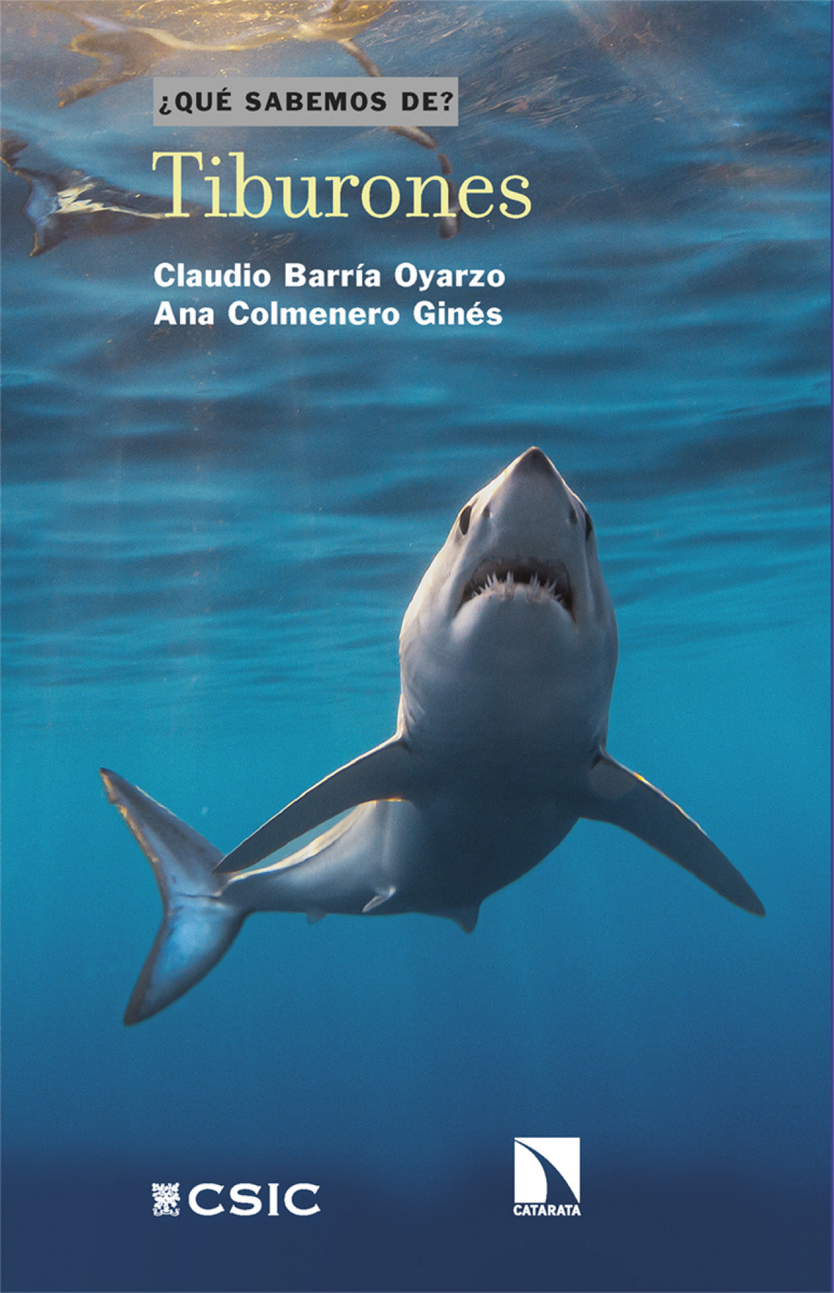tiburones
