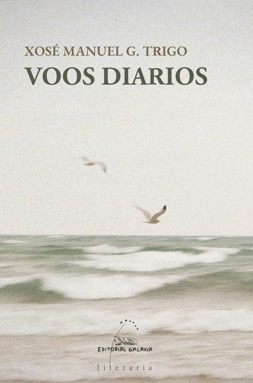 Voos diarios