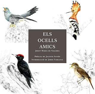 Els ocells amics