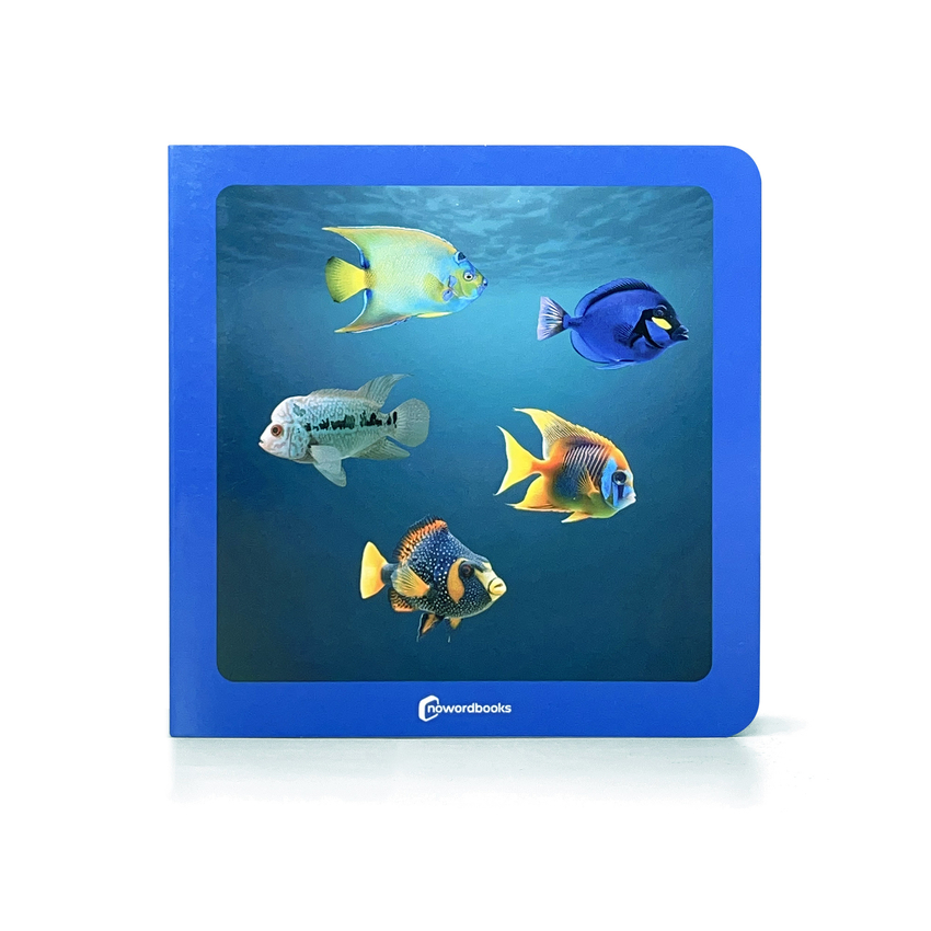 �donde estan los peces?