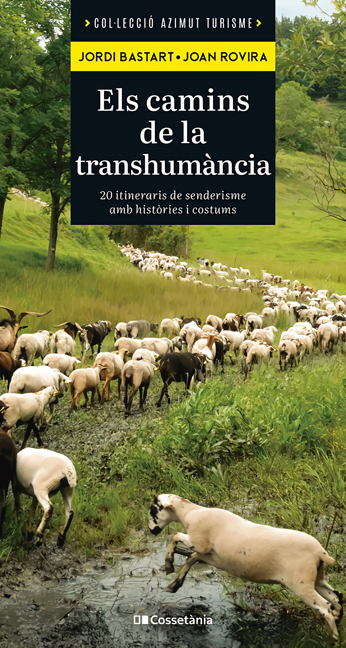 Els camins de la transhum�ncia
