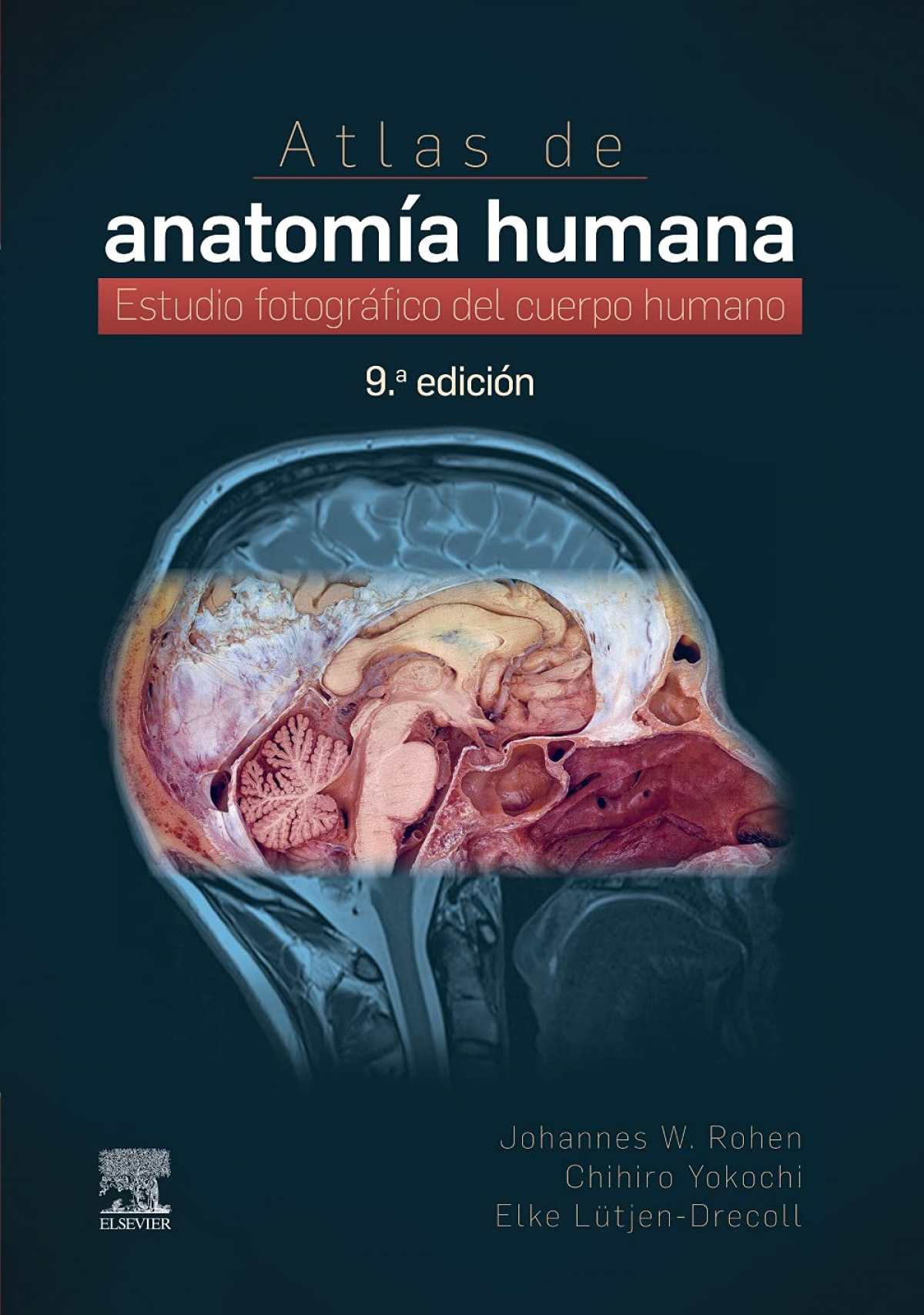 Atlas de anatomía humana Estudio fotográfico del cuerpo humano - Aa.Vv.