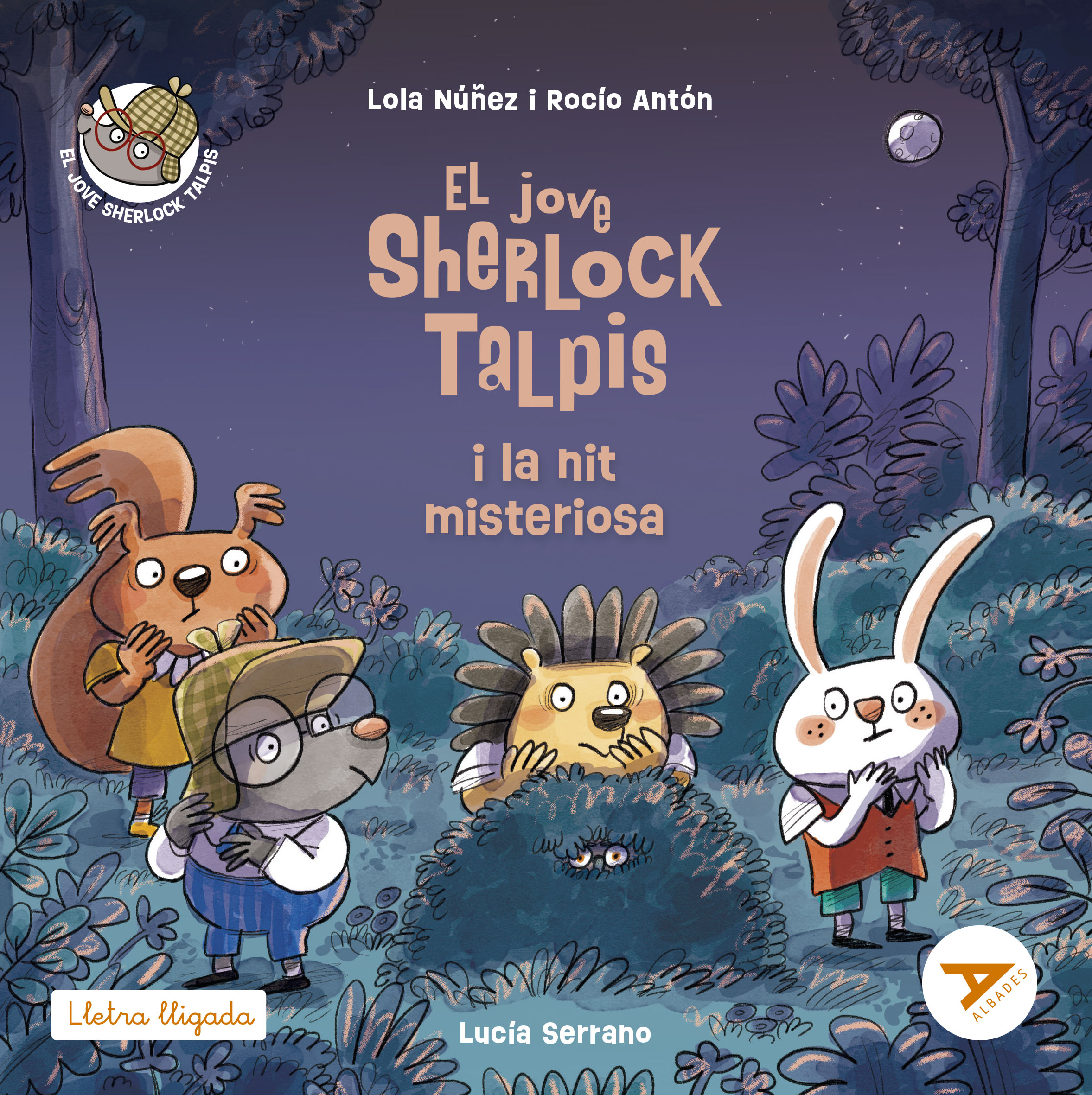 El jove Sherlock Talpis i la nit misteriosa