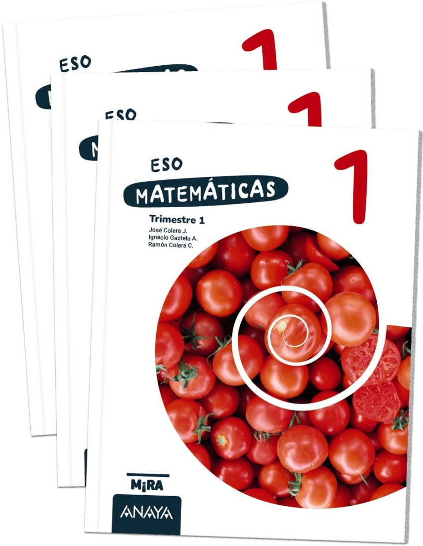 Matem�ticas 1