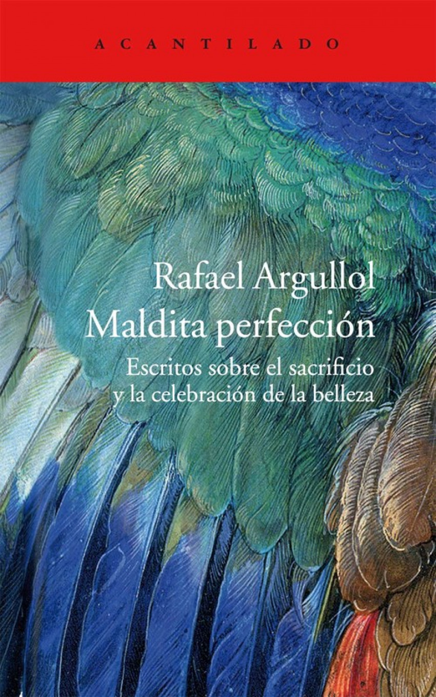 Maldita perfección - Aegullol, Rafael