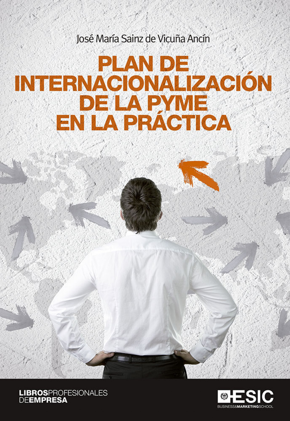 PLAN DE INTERNACIONALIZACION DE LA PYME EN LA PRACTICA