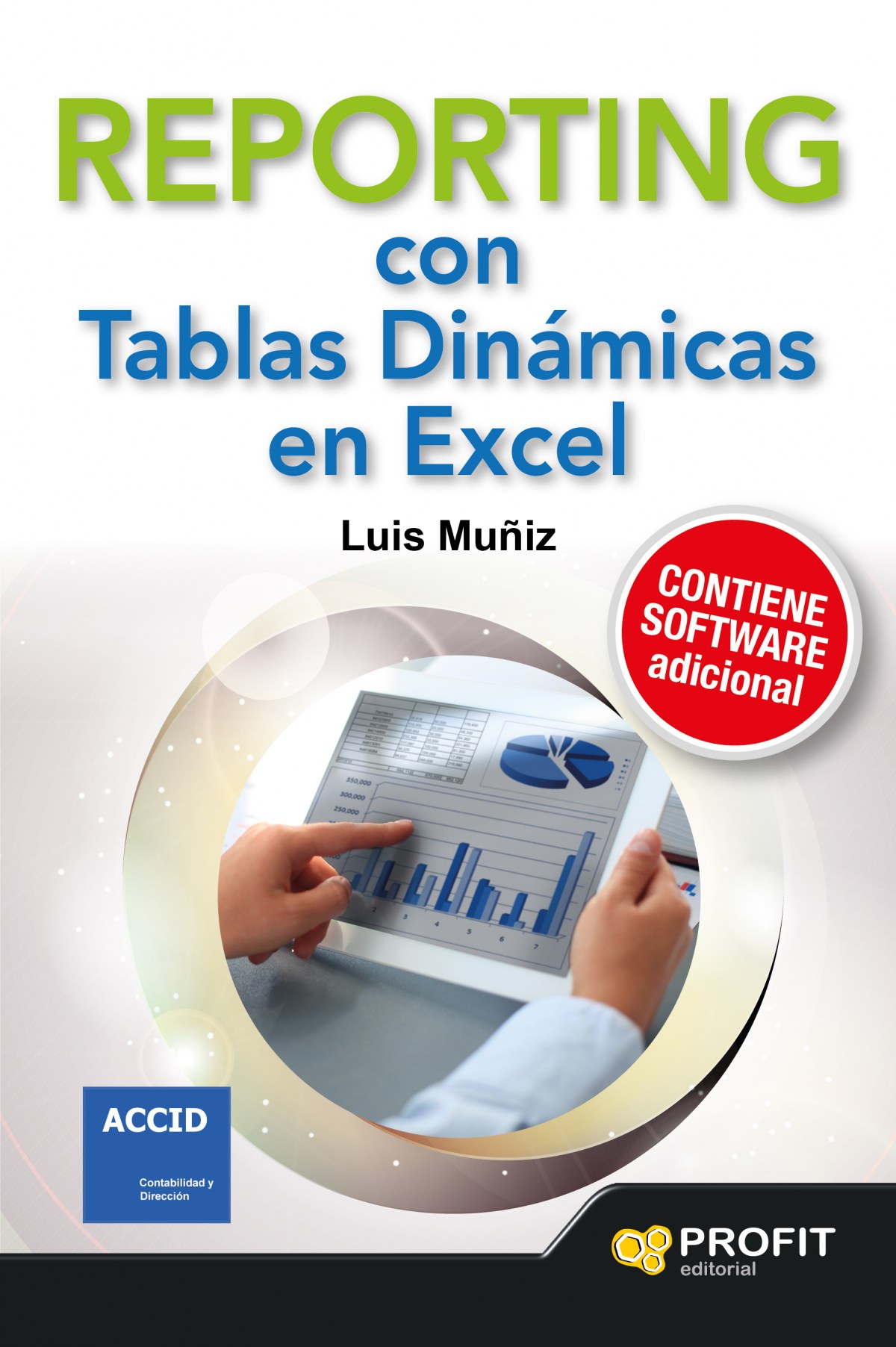 Reporting con tablas dinámicas excel - Muñiz, Luis
