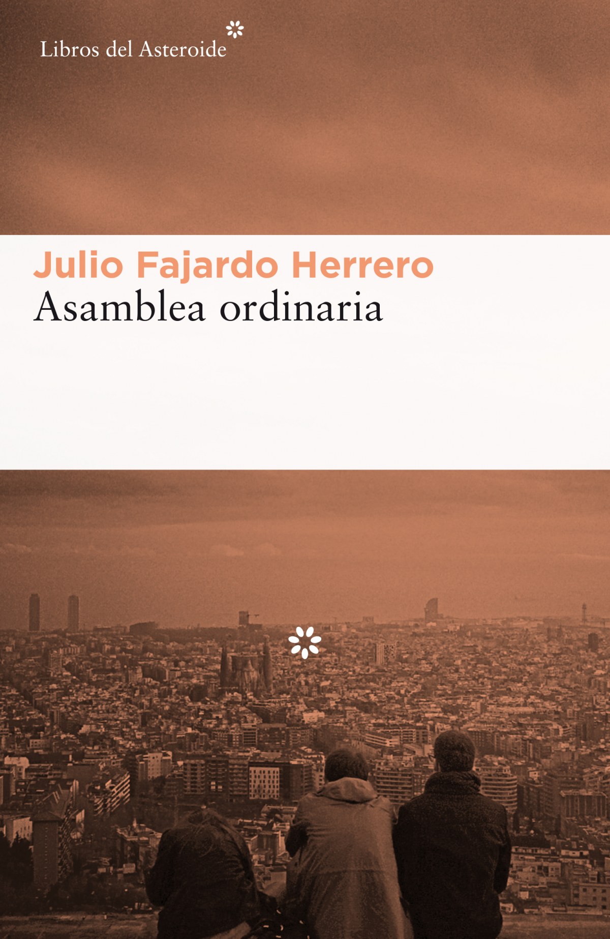 Asamblea ordinaria - Julio Fajardo Herrero