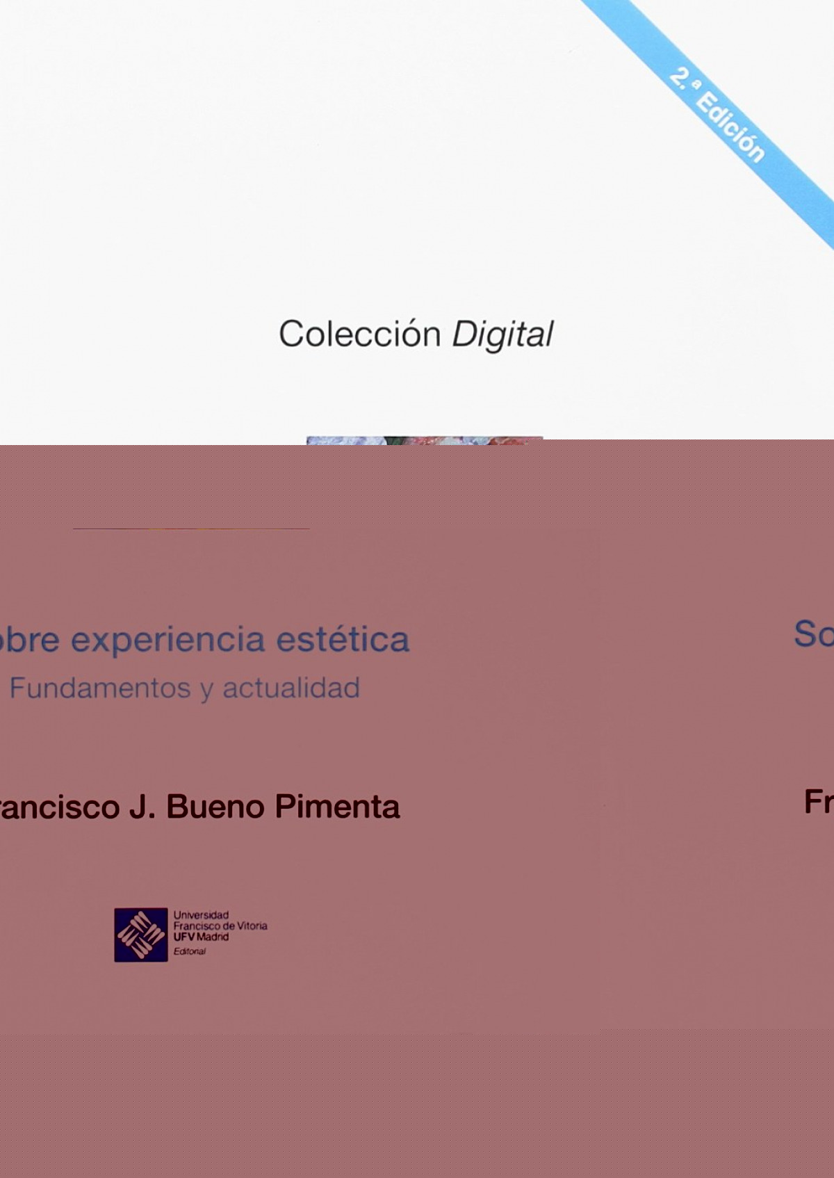 Sobre experiencia est�tica: fundamentos y actualidad. 2� ed.