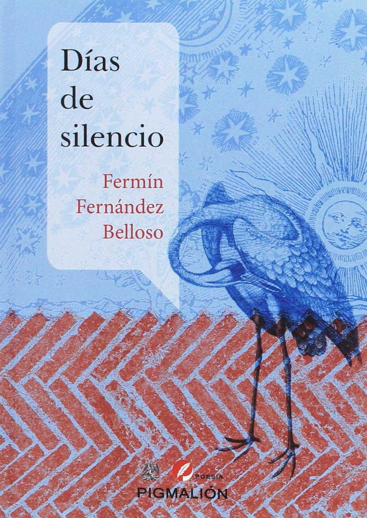 DIAS DE SILENCIO