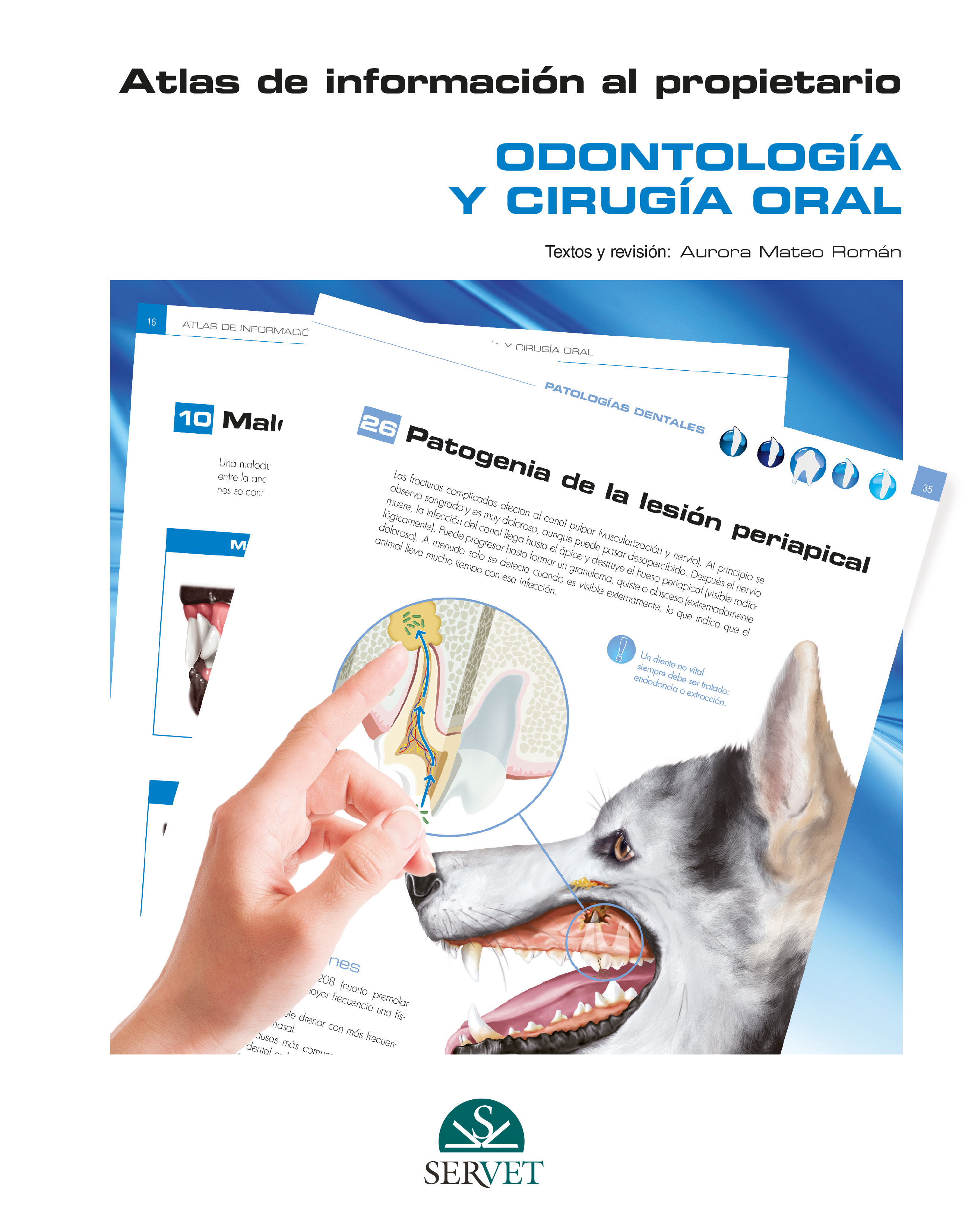 Atlas de informaci�n al propietario.