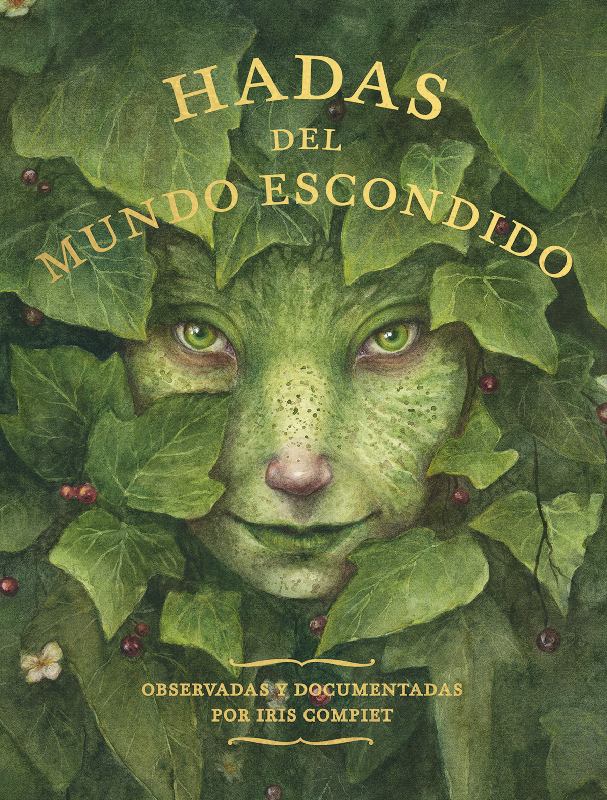 Hadas del mundo escondido