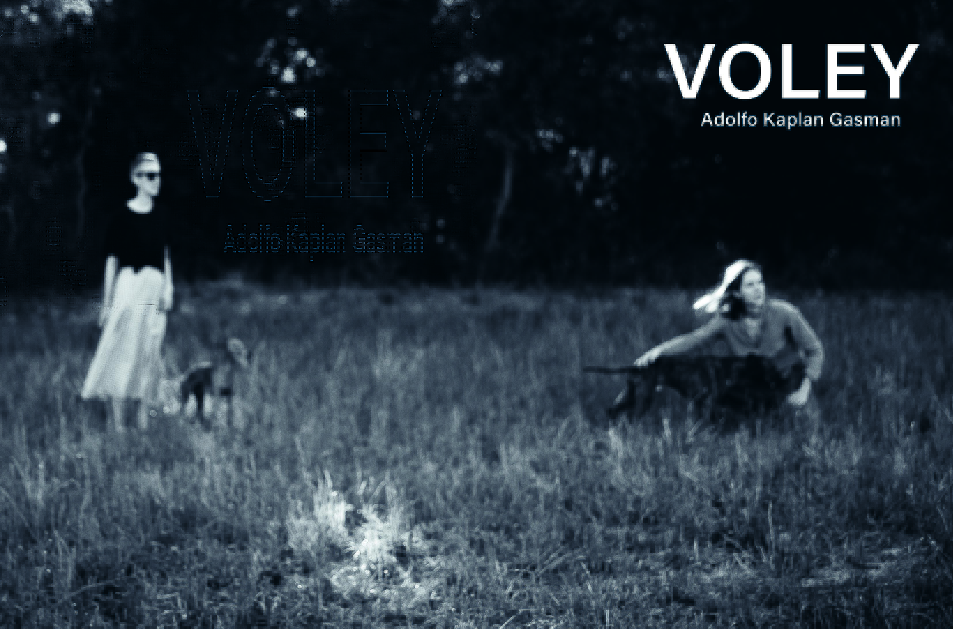 V�ley