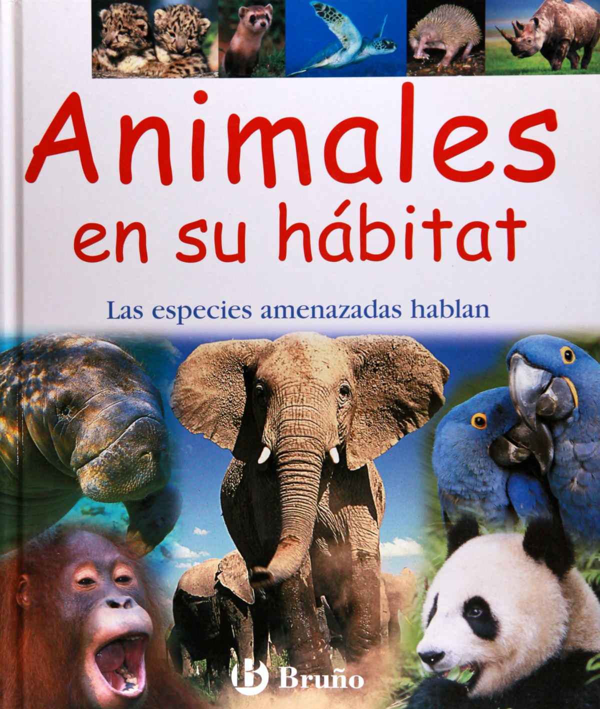 Animales en su hábitat - Mills, Andrea