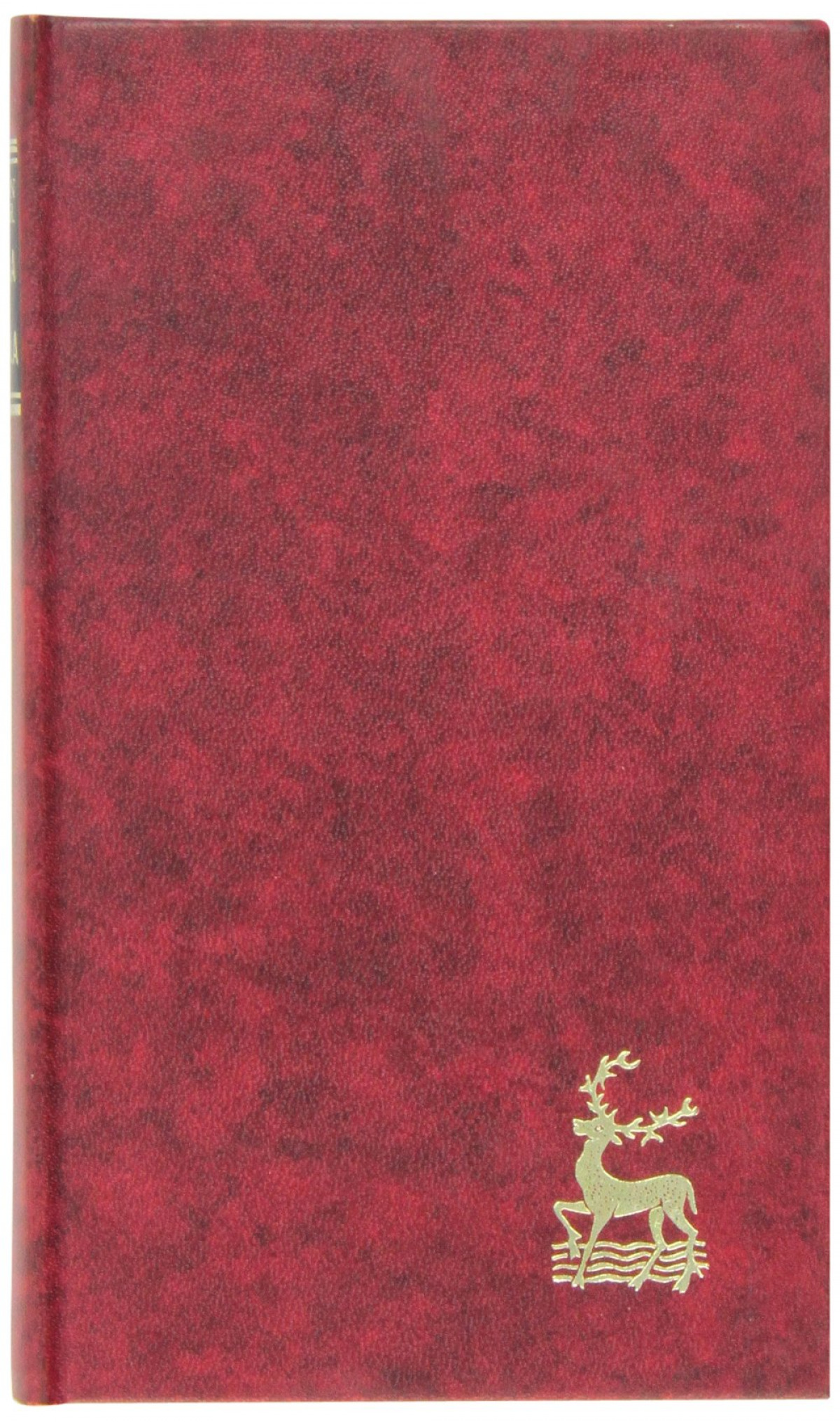 HABLA EL AGUILA. VERSION POEMATICA DEL APOCALIPSIS