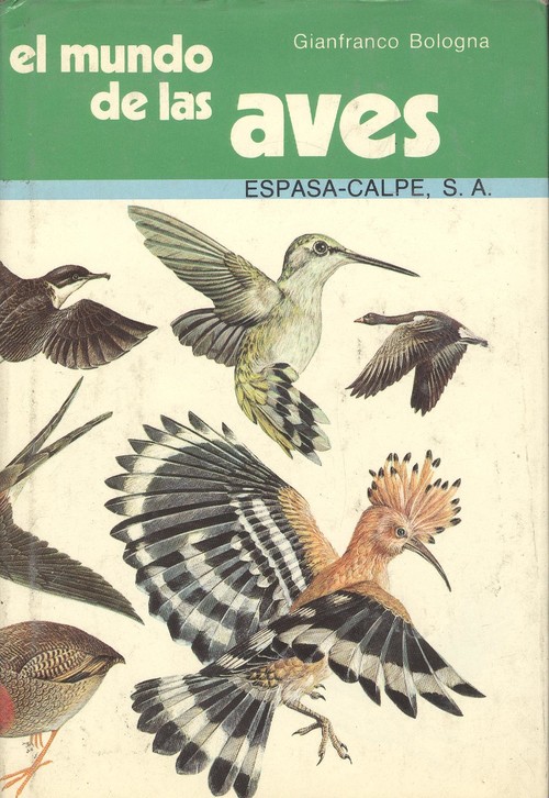 MUNDO DE LAS AVES, EL