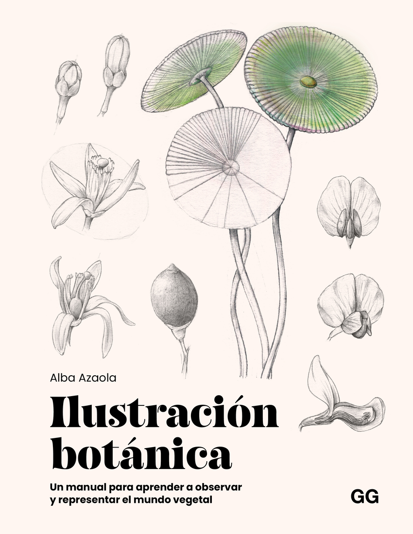 Ilustraci�n bot�nica