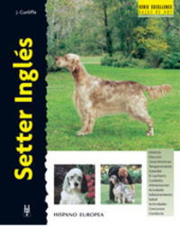 SETTER INGLES