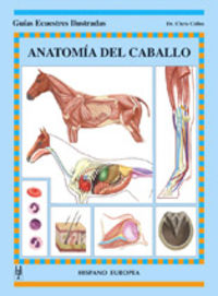 Anatom�a del caballo
