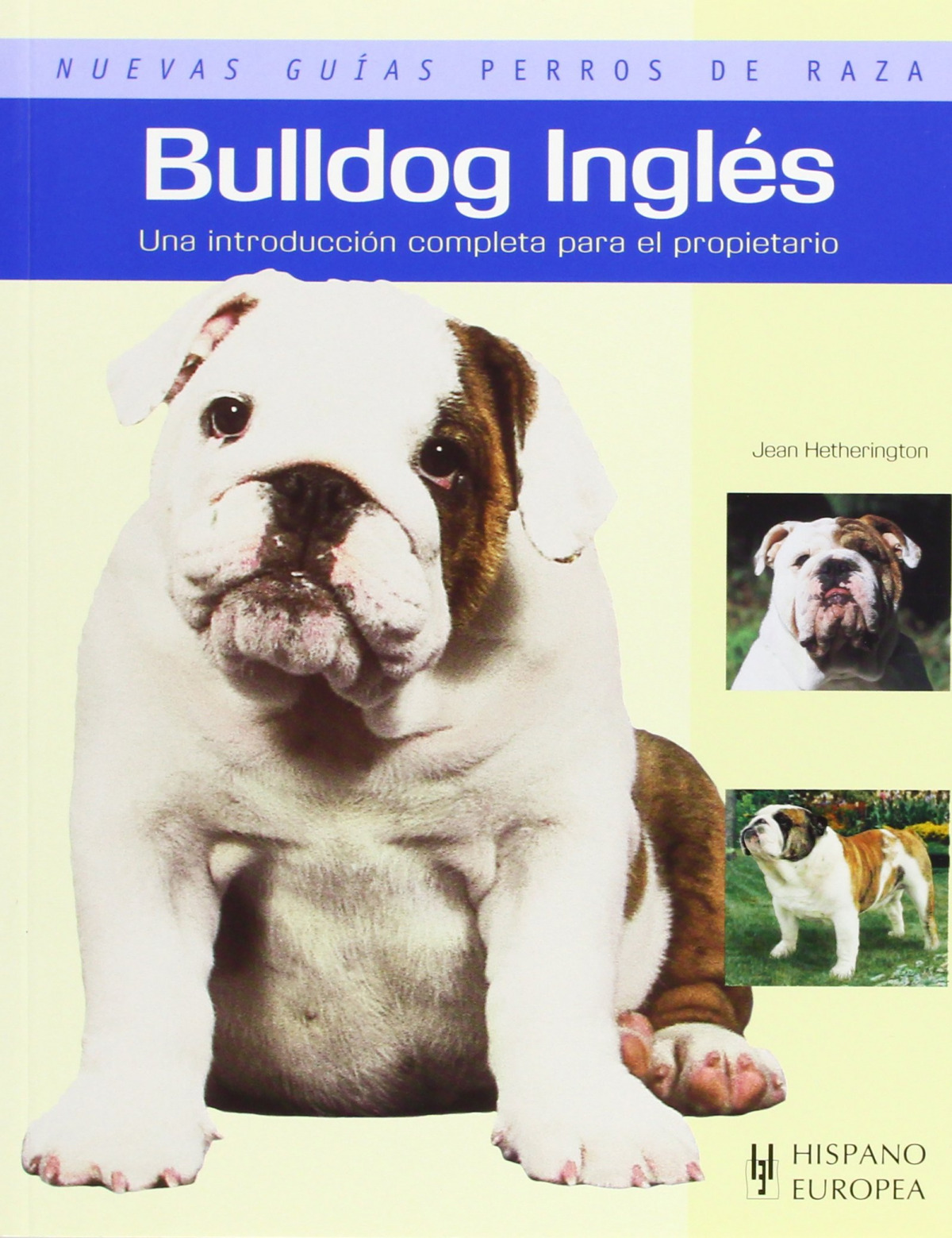 Bulldog ingles (nuevas guias perros de raza) una introduccion completa - Hetherington, Jean